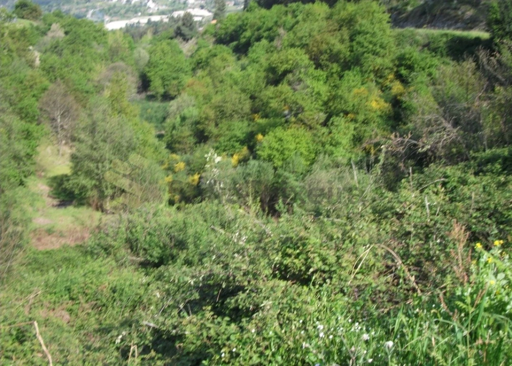 Terreno para Venda em Soalhães Foto 4