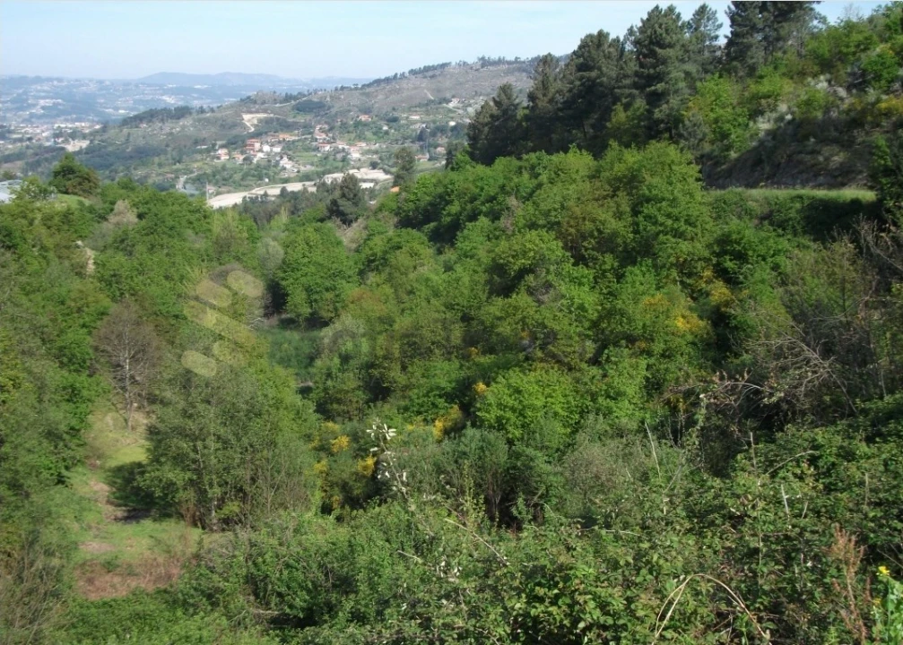 Terreno para Venda em Soalhães Foto 6
