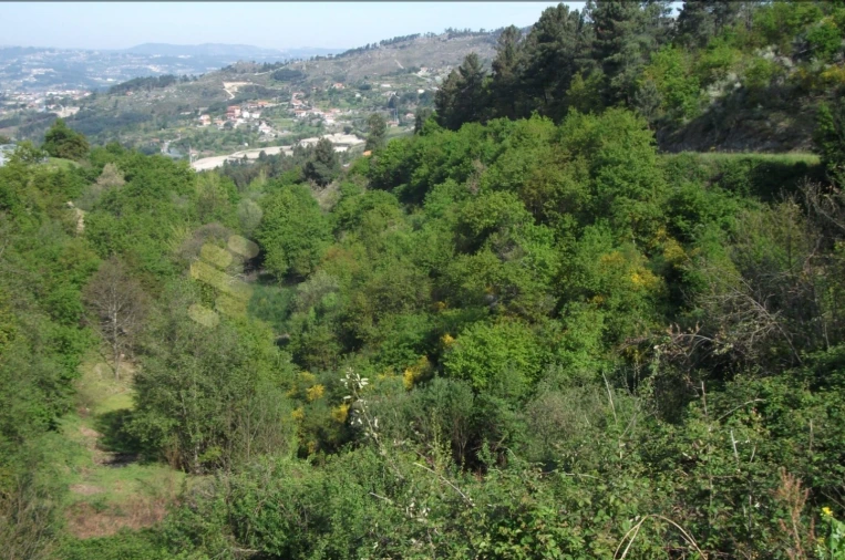 Terreno para Venda em Soalhães Foto 1