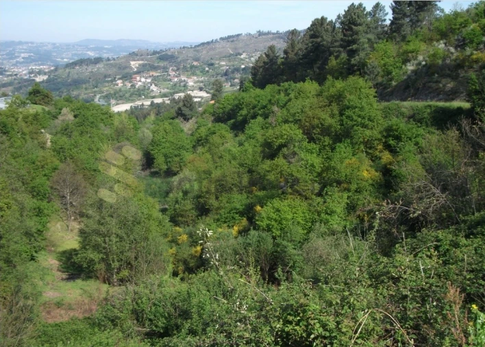 Terreno para Venda em Soalhães Foto 6