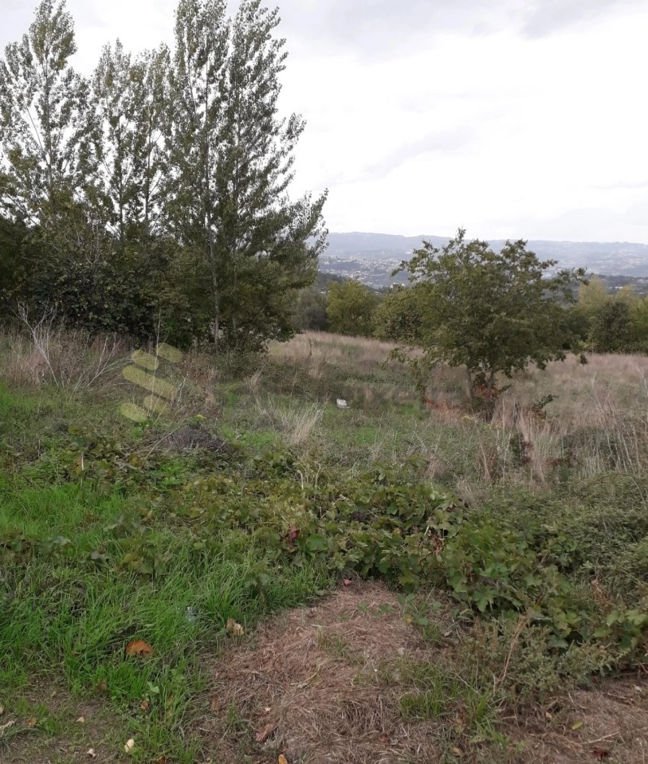 Terreno para Venda em Soalhães Foto 2