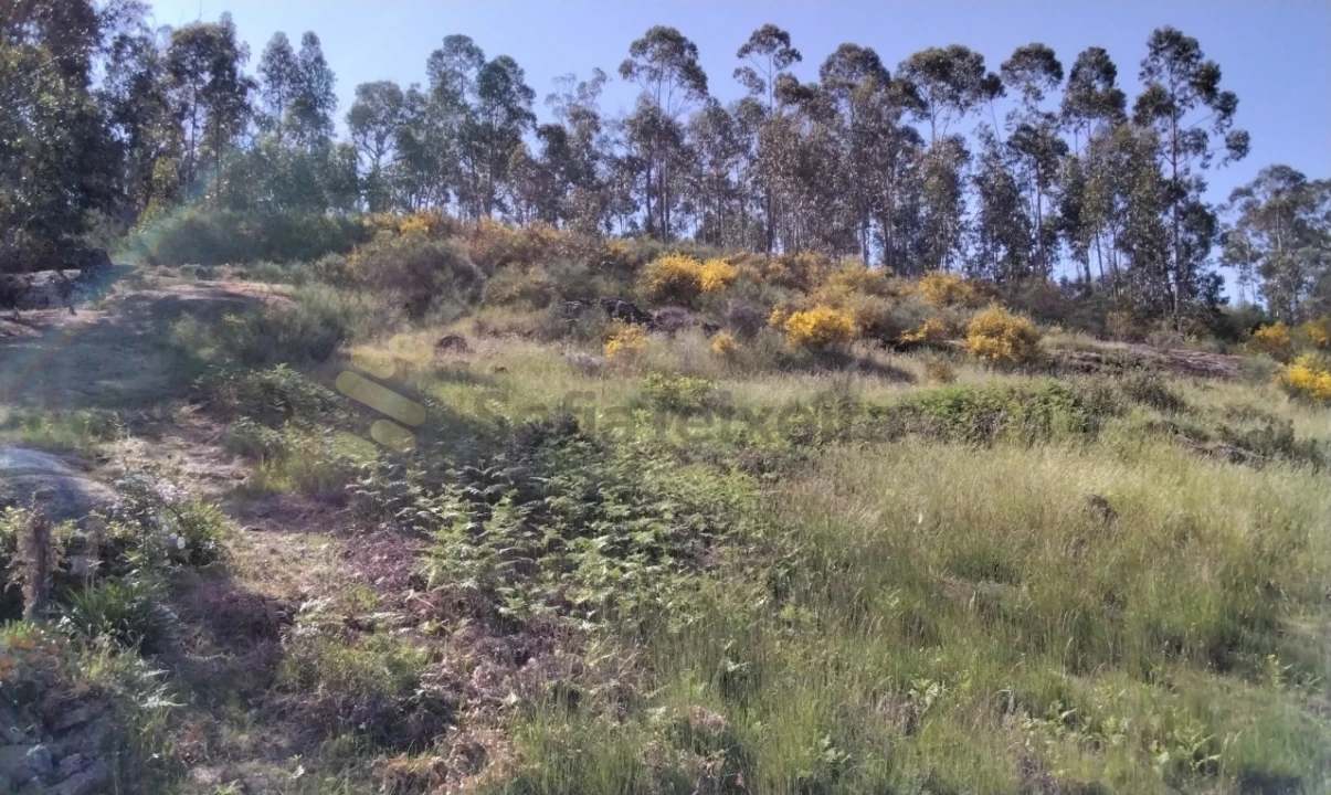 Terreno para Venda em Alpendorada, Várzea e Torrão Foto 18