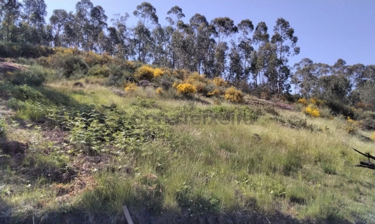 Terreno para Venda em Alpendorada, Várzea e Torrão Foto 19