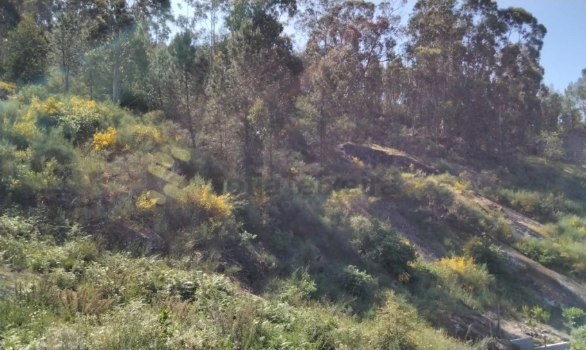 Terreno para Venda em Alpendorada, Várzea e Torrão Foto 8