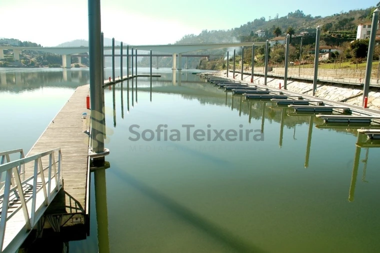 Terreno para Venda em Alpendorada, Várzea e Torrão Foto 21