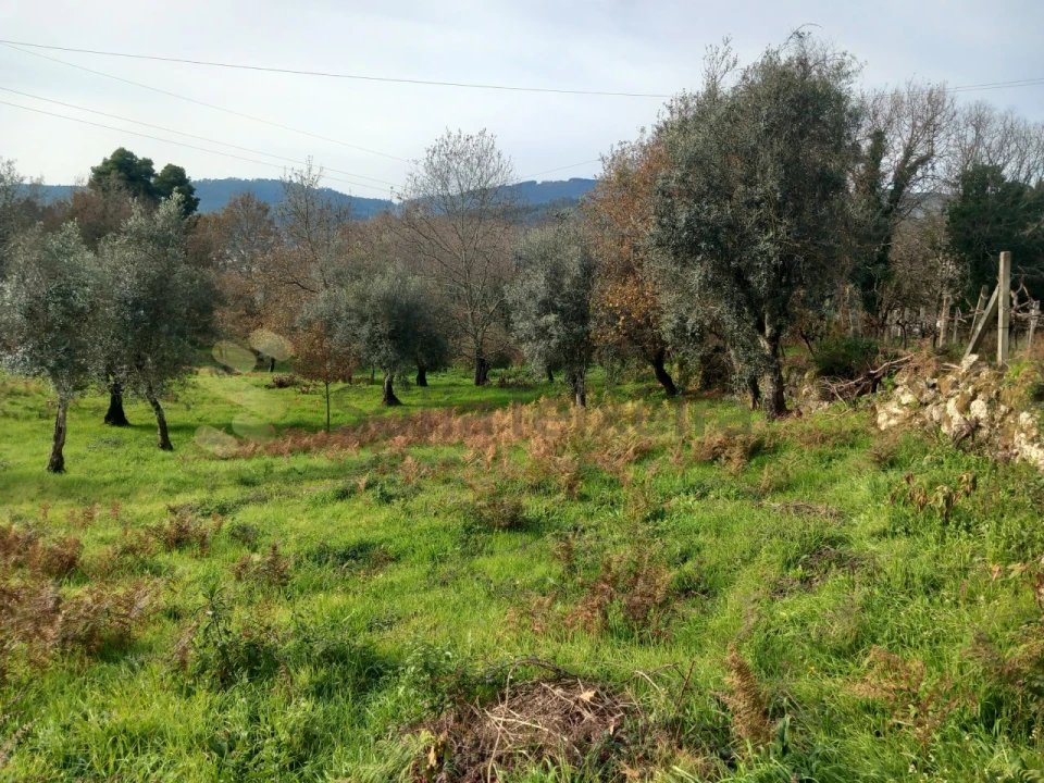 Terreno para Venda em Vila Boa de Quires e Maureles Foto 3