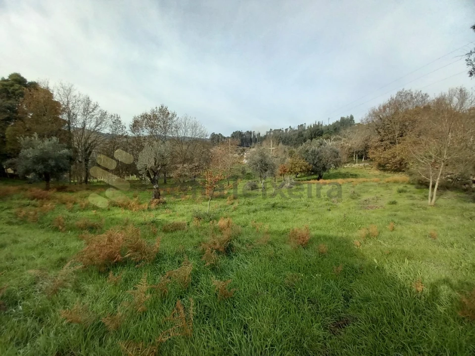 Terreno para Venda em Vila Boa de Quires e Maureles Foto 6