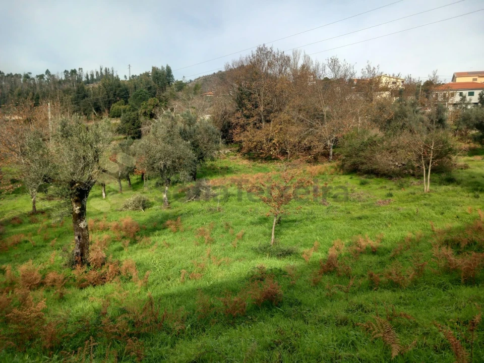 Terreno para Venda em Vila Boa de Quires e Maureles Foto 8