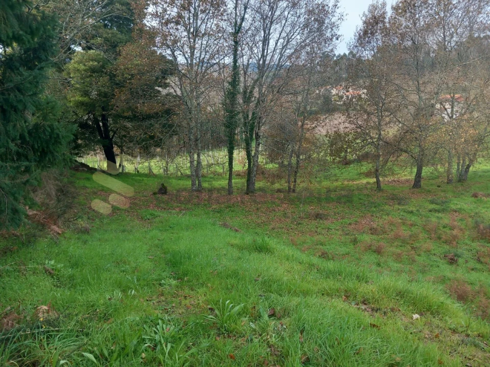 Terreno para Venda em Vila Boa de Quires e Maureles Foto 9