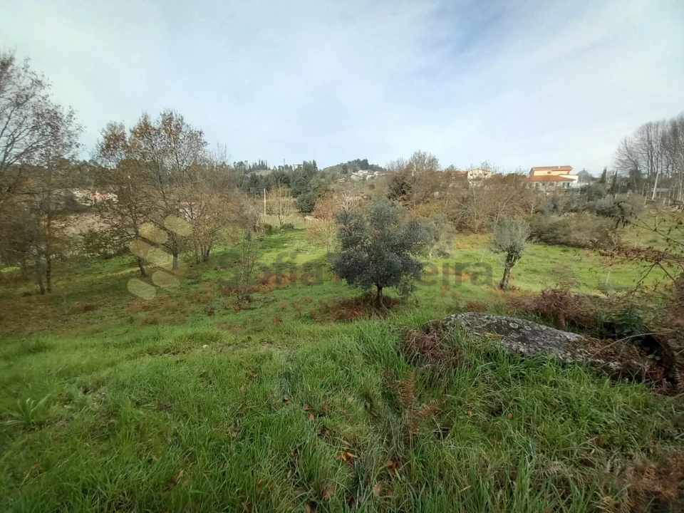Terreno para Venda em Vila Boa de Quires e Maureles Foto 11