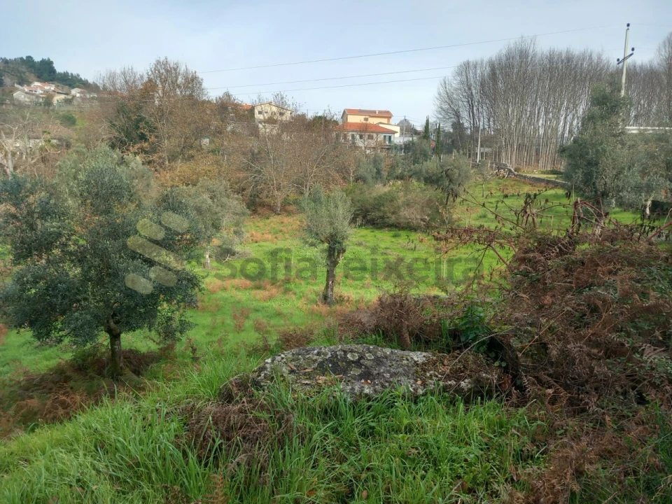 Terreno para Venda em Vila Boa de Quires e Maureles Foto 13