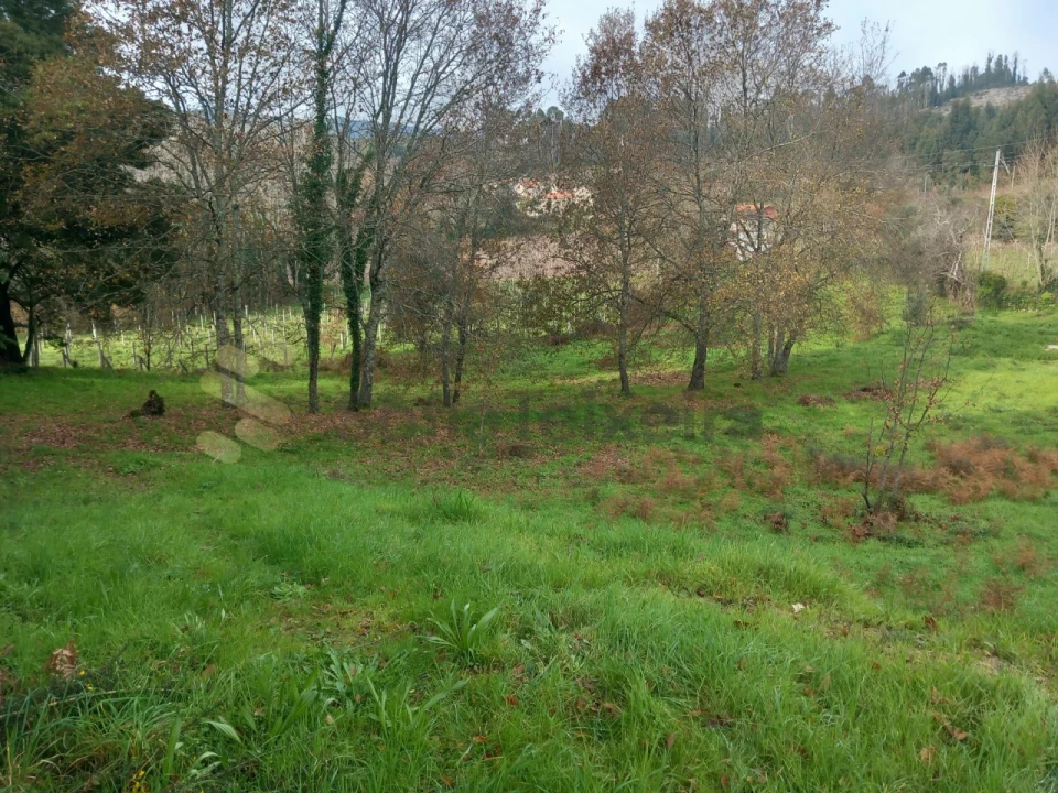 Terreno para Venda em Vila Boa de Quires e Maureles Foto 15