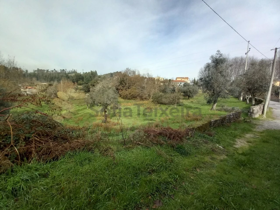 Terreno para Venda em Vila Boa de Quires e Maureles Foto 17