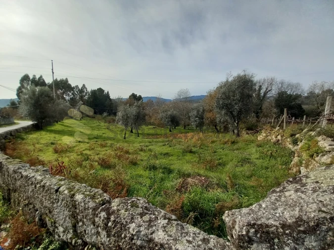Terreno para Venda em Vila Boa de Quires e Maureles Foto 1