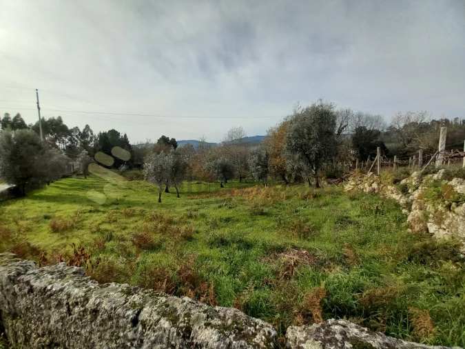 Terreno para Venda em Vila Boa de Quires e Maureles Foto 2