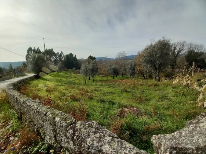 Terreno para Venda em Vila Boa de Quires e Maureles Foto 4