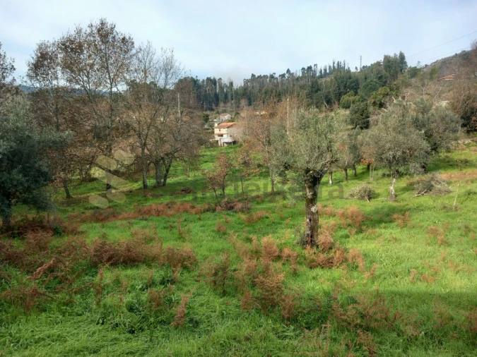 Terreno para Venda em Vila Boa de Quires e Maureles Foto 7