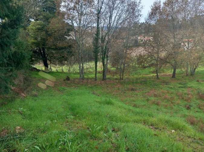 Terreno para Venda em Vila Boa de Quires e Maureles Foto 9