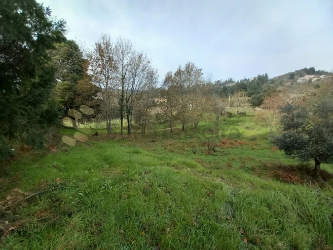 Terreno para Venda em Vila Boa de Quires e Maureles Foto 10