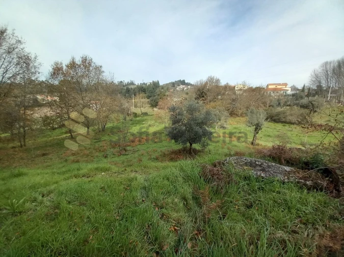 Terreno para Venda em Vila Boa de Quires e Maureles Foto 11