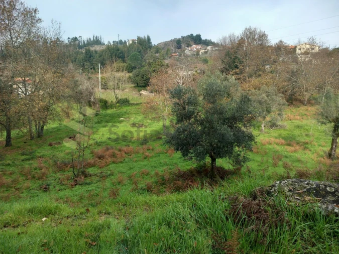 Terreno para Venda em Vila Boa de Quires e Maureles Foto 14