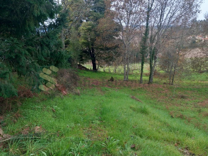 Terreno para Venda em Vila Boa de Quires e Maureles Foto 16