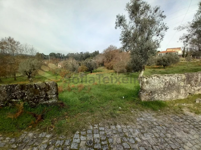 Terreno para Venda em Vila Boa de Quires e Maureles Foto 18