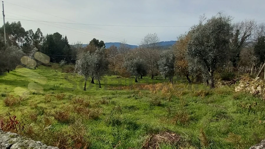 Terreno para Venda em Vila Boa de Quires e Maureles