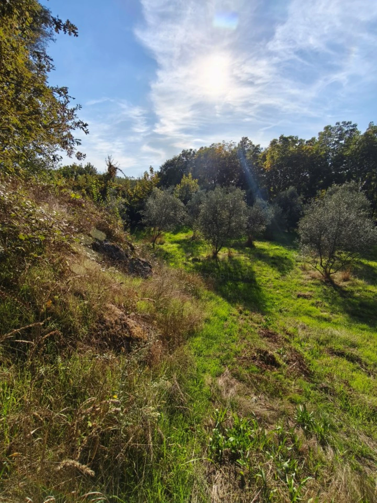 Terreno para Venda em Regadas Foto 6