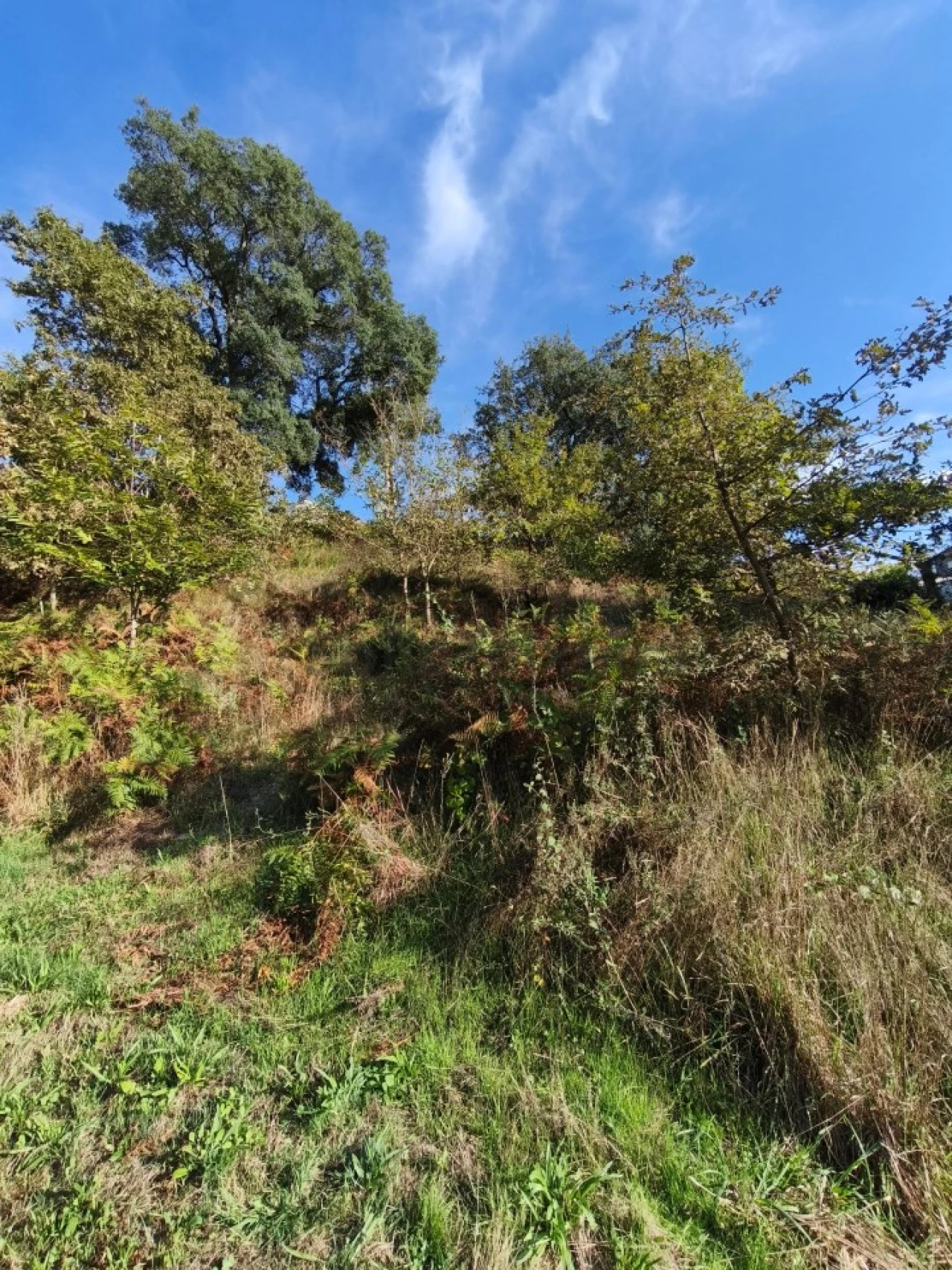 Terreno para Venda em Regadas Foto 7