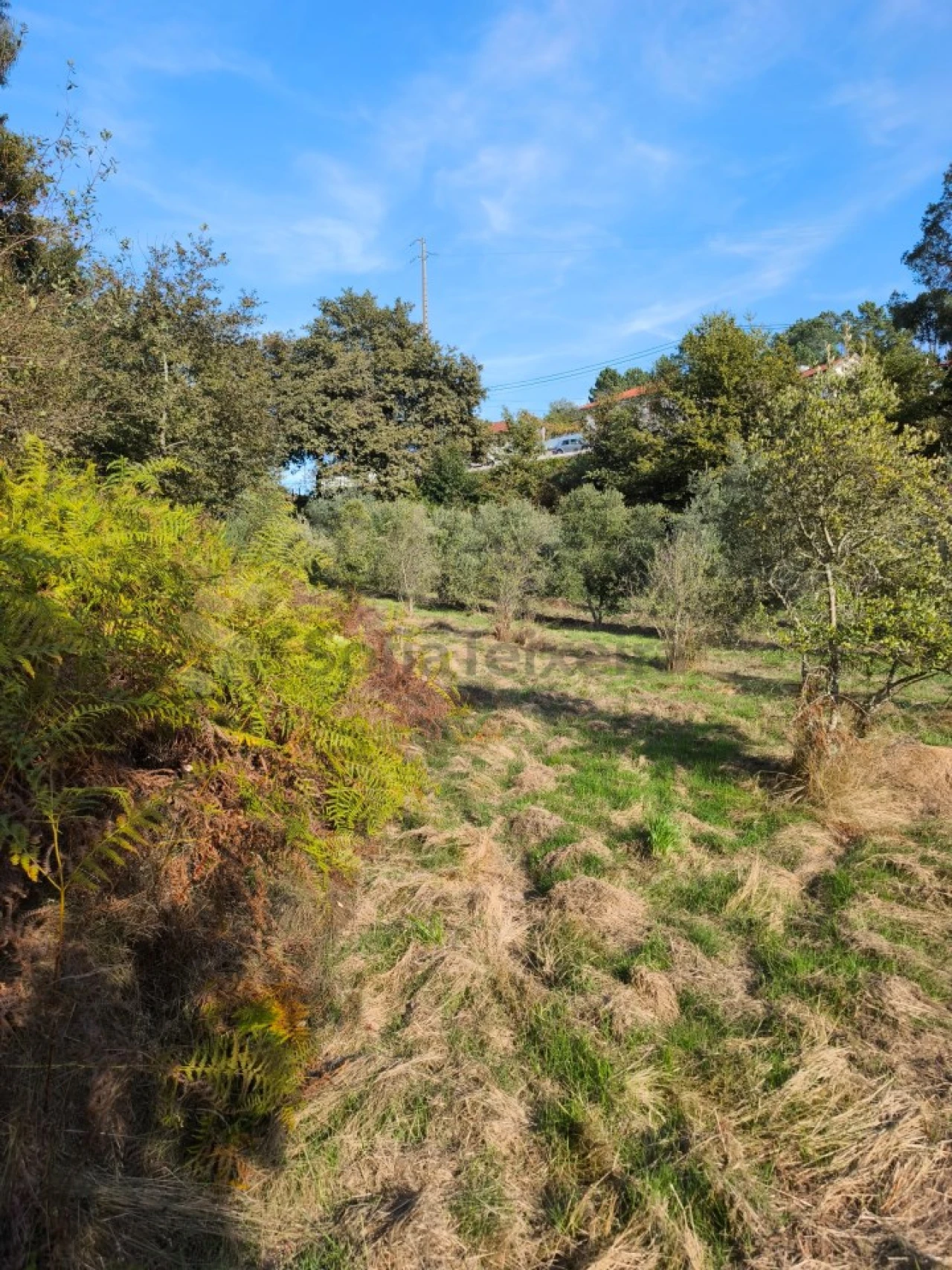 Terreno para Venda em Regadas Foto 11