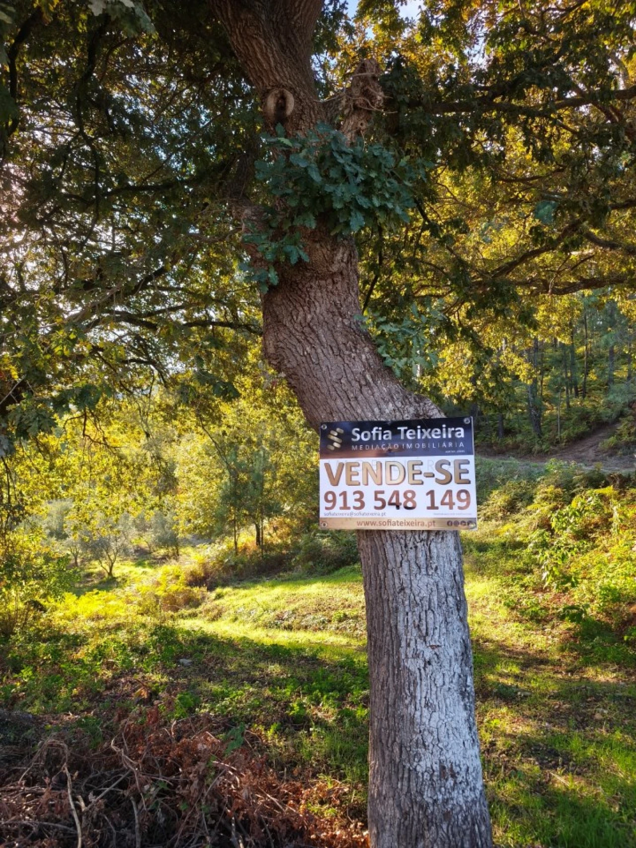 Terreno para Venda em Regadas Foto 23