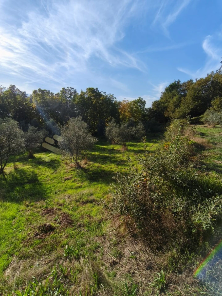 Terreno para Venda em Regadas Foto 5