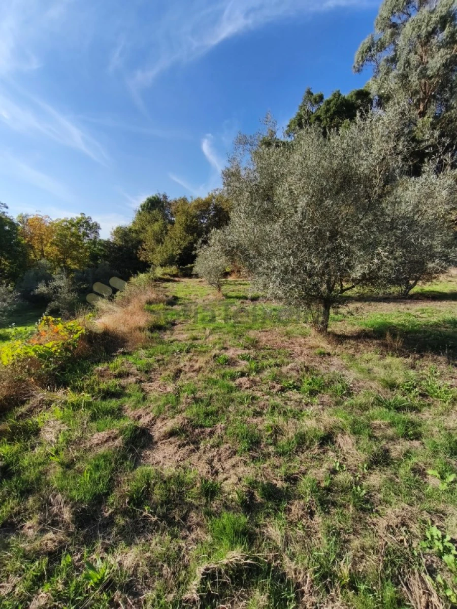 Terreno para Venda em Regadas Foto 3