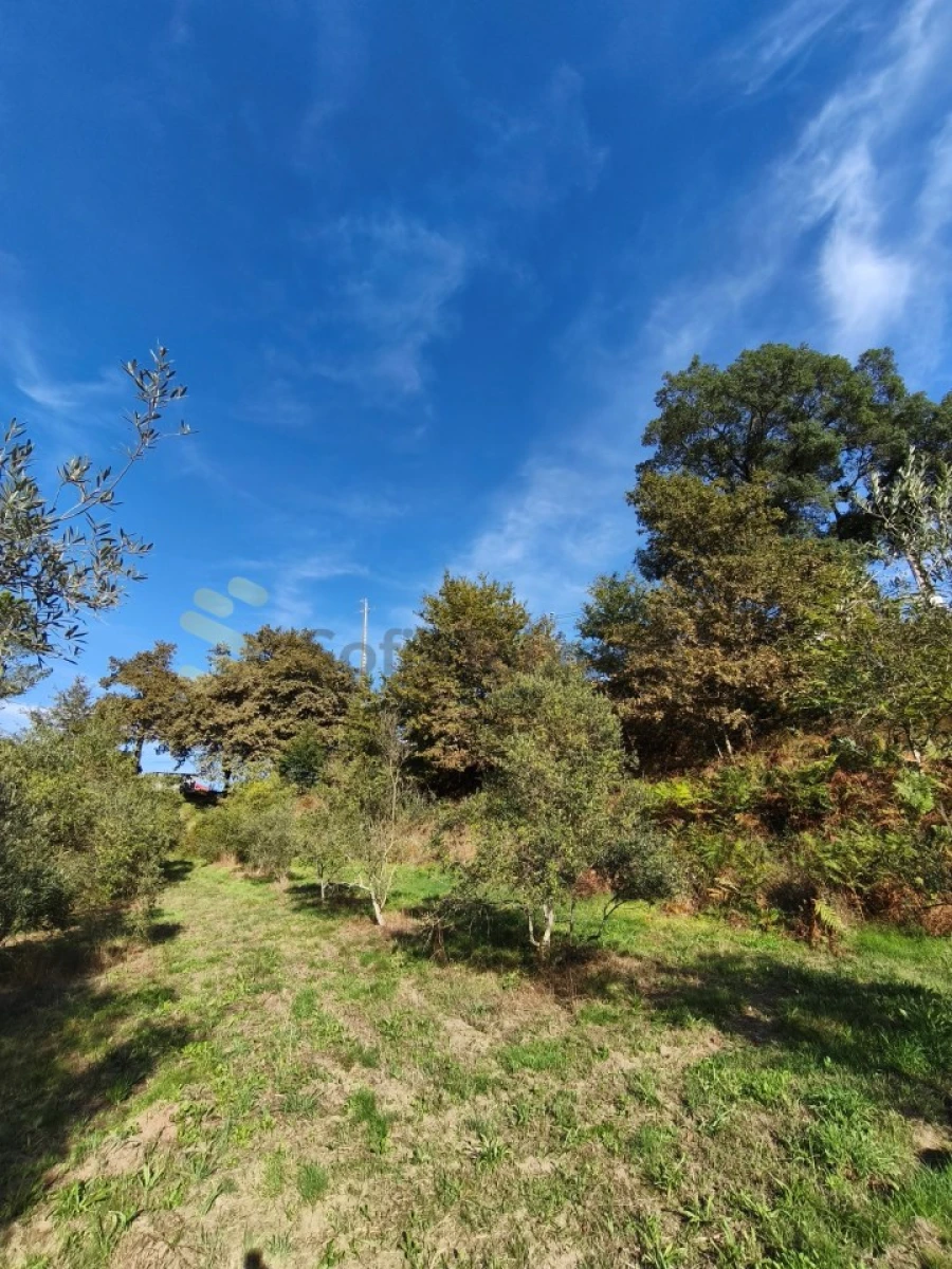 Terreno para Venda em Regadas Foto 9