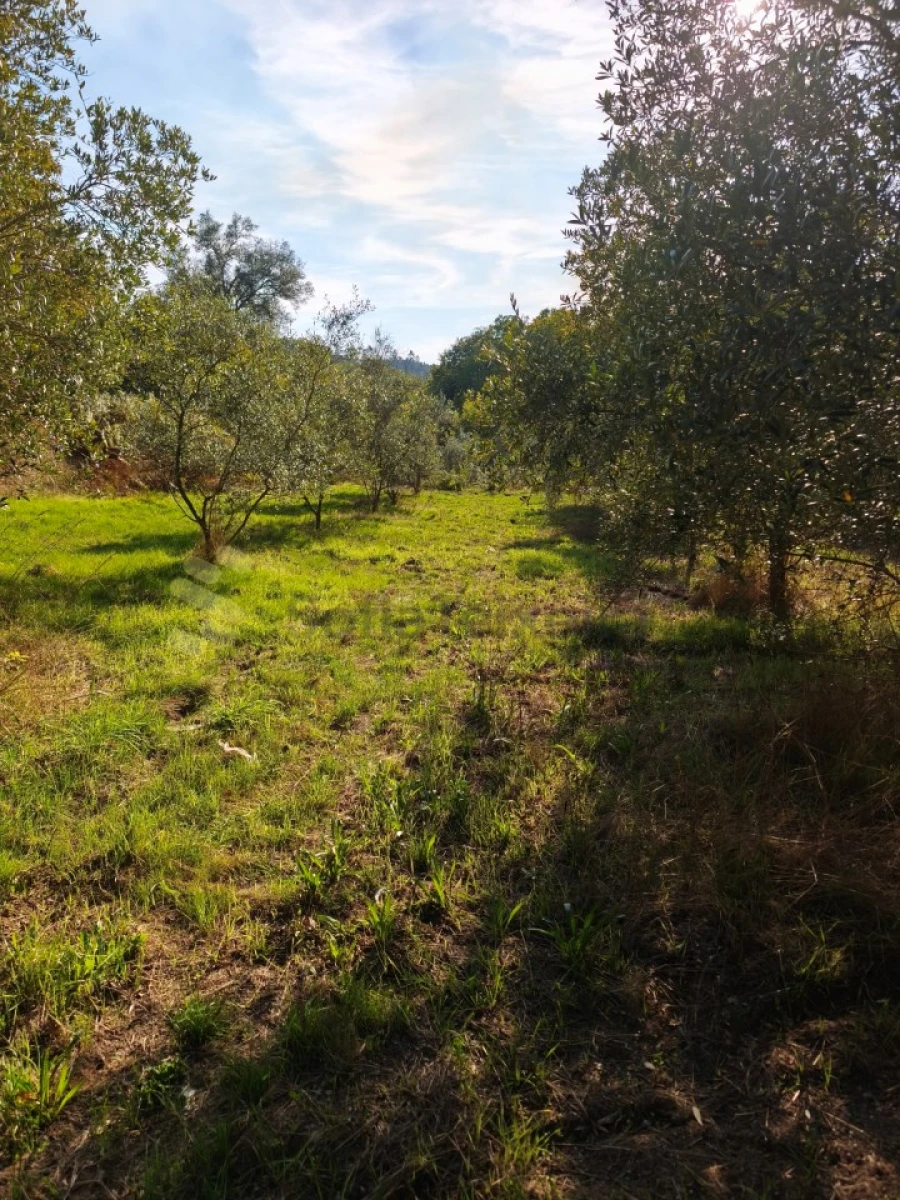 Terreno para Venda em Regadas Foto 13