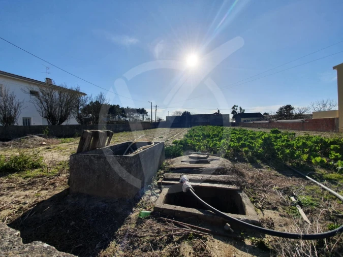 Terreno para Venda em Aguçadoura e Navais Foto 3