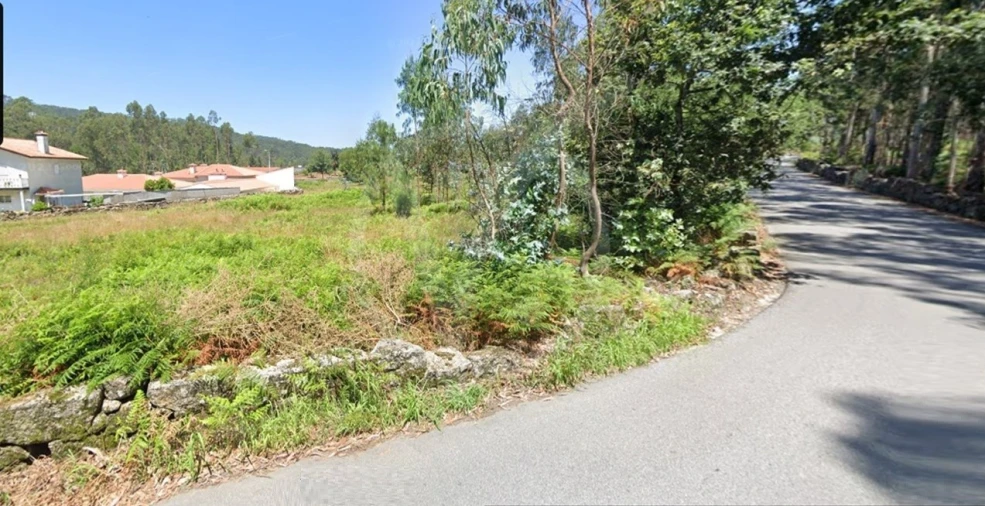 Terreno para Venda em Pereira Foto 2