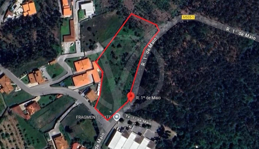 Terreno para Venda em Pereira Foto 3