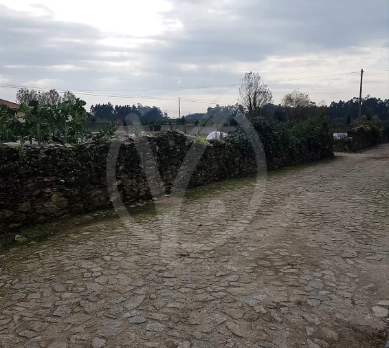 Terreno para Venda em Fonte Boa e Rio Tinto Foto 2