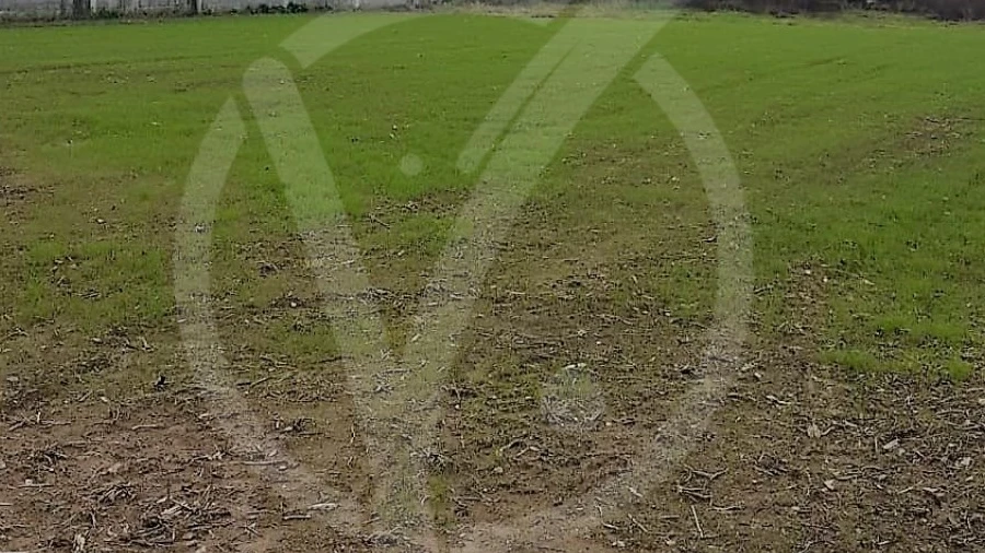 Terreno para Venda em Fonte Boa e Rio Tinto