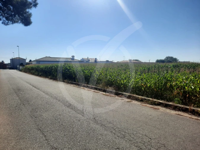 Terreno para Venda em Estela Foto 2