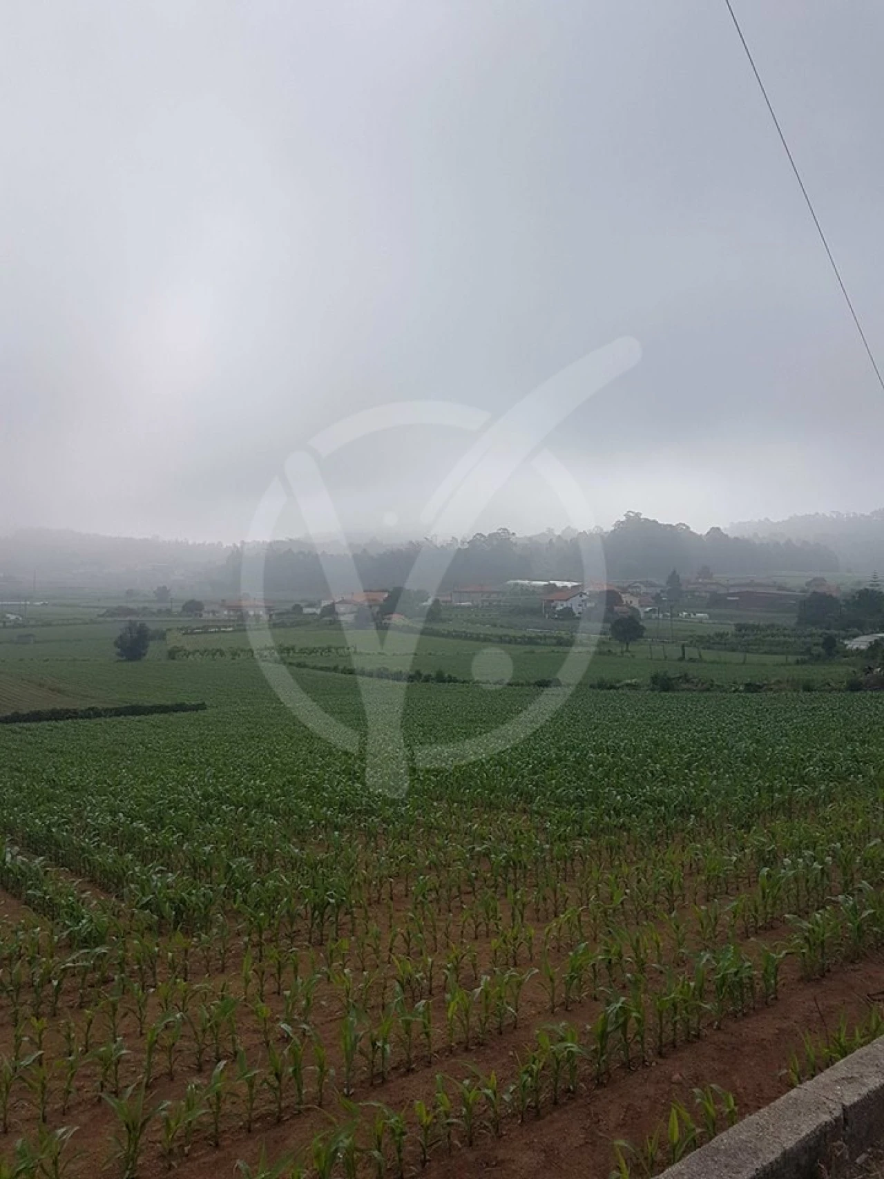 Terreno para Venda em Milhazes, Vilar de Figos e Faria Foto 2