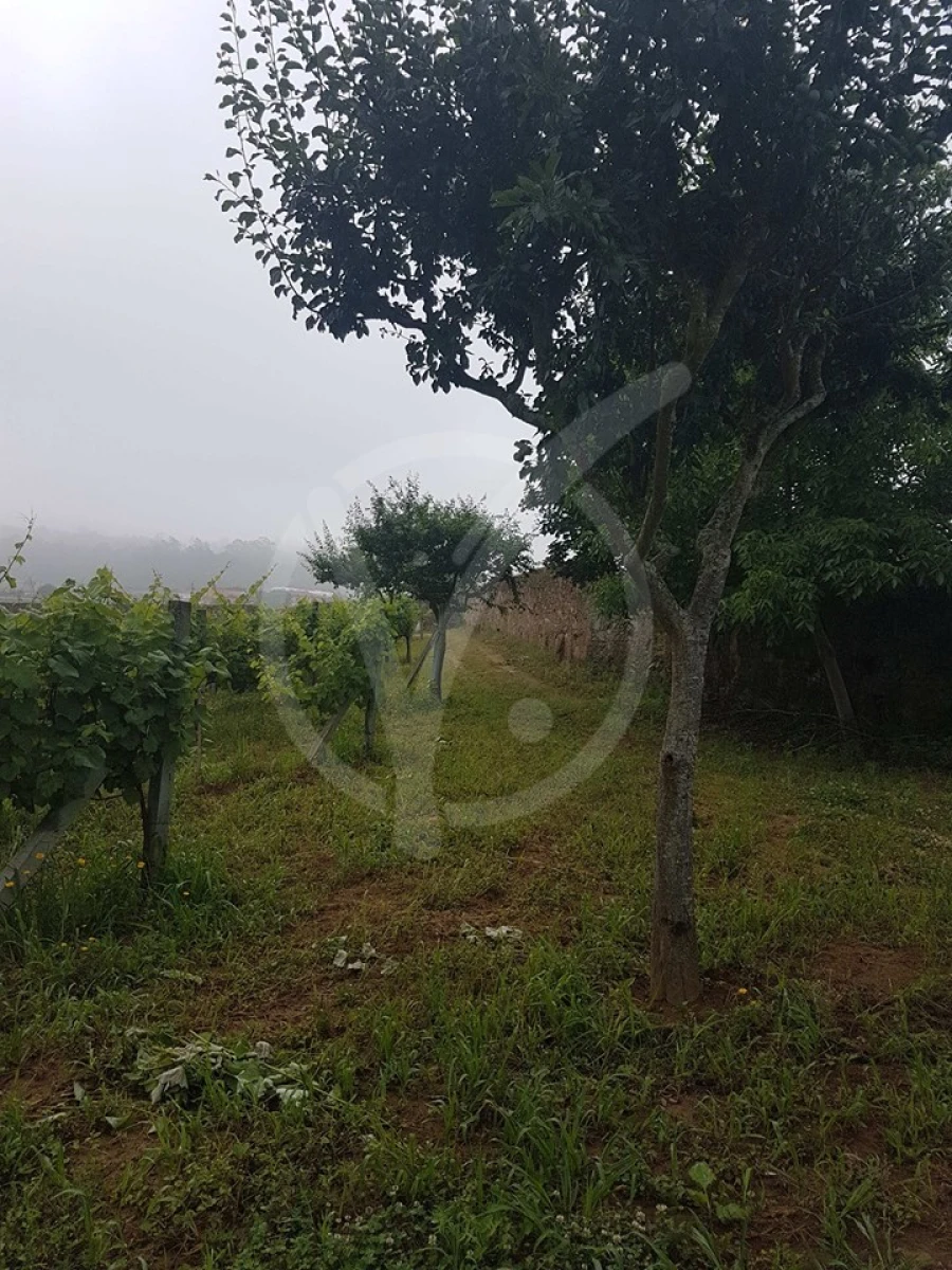 Terreno para Venda em Milhazes, Vilar de Figos e Faria Foto 7