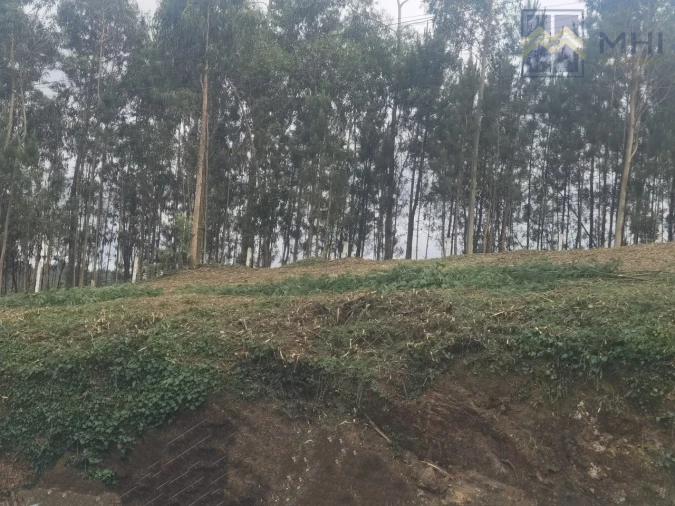 Terreno para Venda em Sandim, Olival, Lever e Crestuma Foto 1