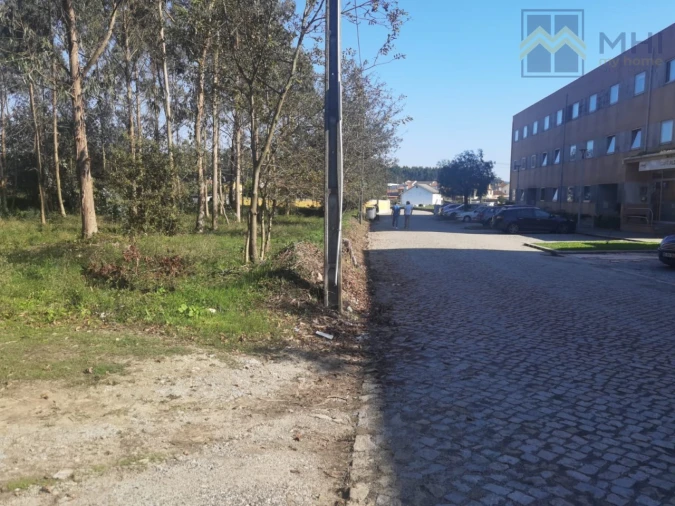 Terreno para Venda em Arvore Foto 4