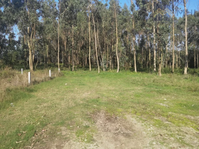 Terreno para Venda em Arvore Foto 7