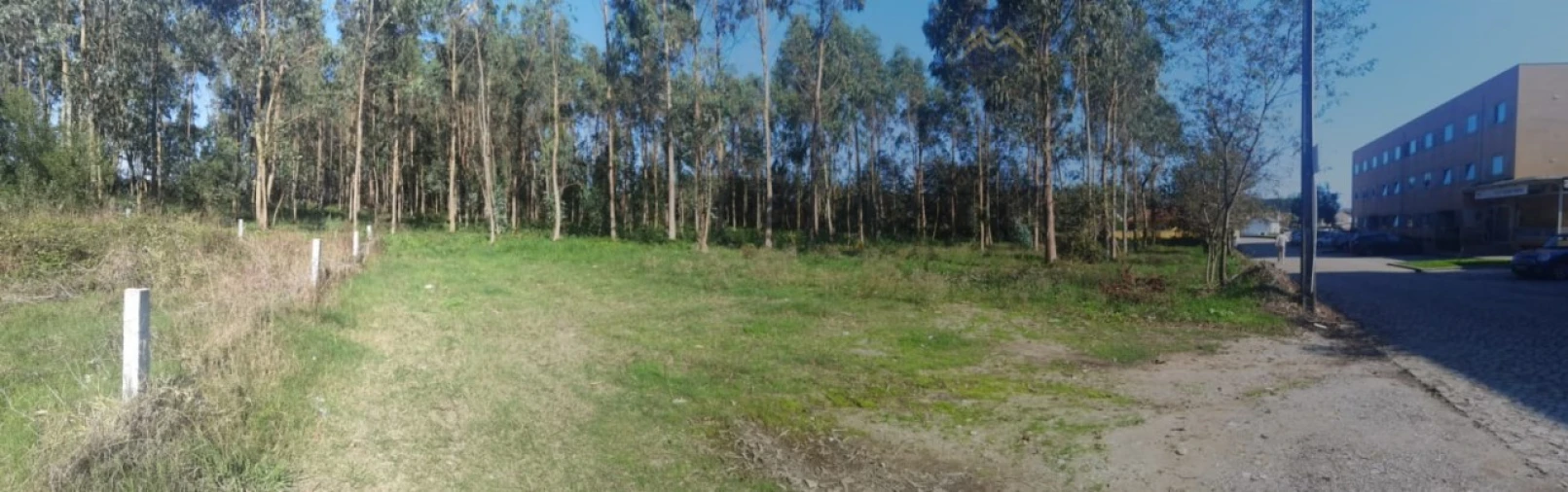 Terreno para Venda em Arvore Foto 8