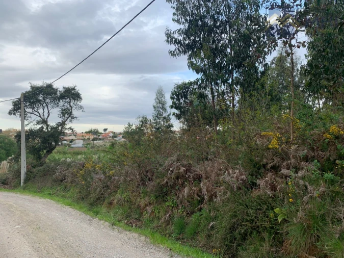 Terreno para Venda em Canidelo Foto 3