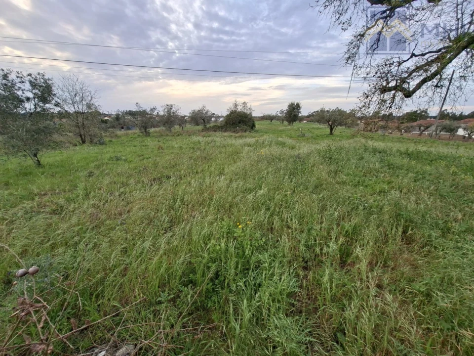 Terreno para Venda em Pelariga Foto 1